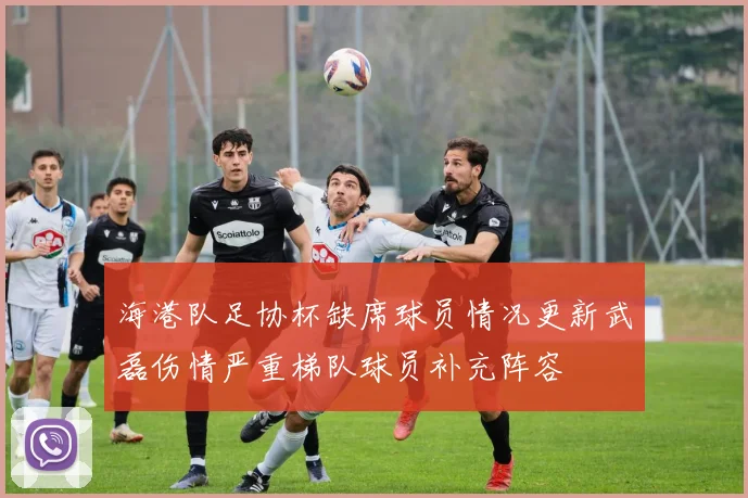 海港队足协杯缺席球员情况更新武磊伤情严重梯队球员补充阵容