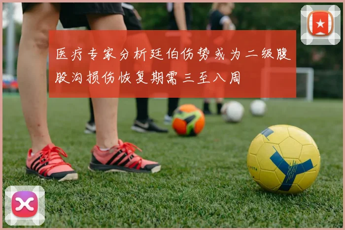 医疗专家分析廷伯伤势或为二级腹股沟损伤恢复期需三至八周
