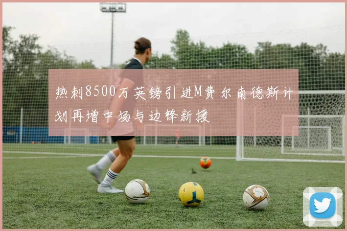 热刺8500万英镑引进M费尔南德斯计划再增中场与边锋新援